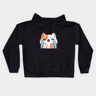 Crying cat there is my coffee, cat coffee mug Kids Hoodie